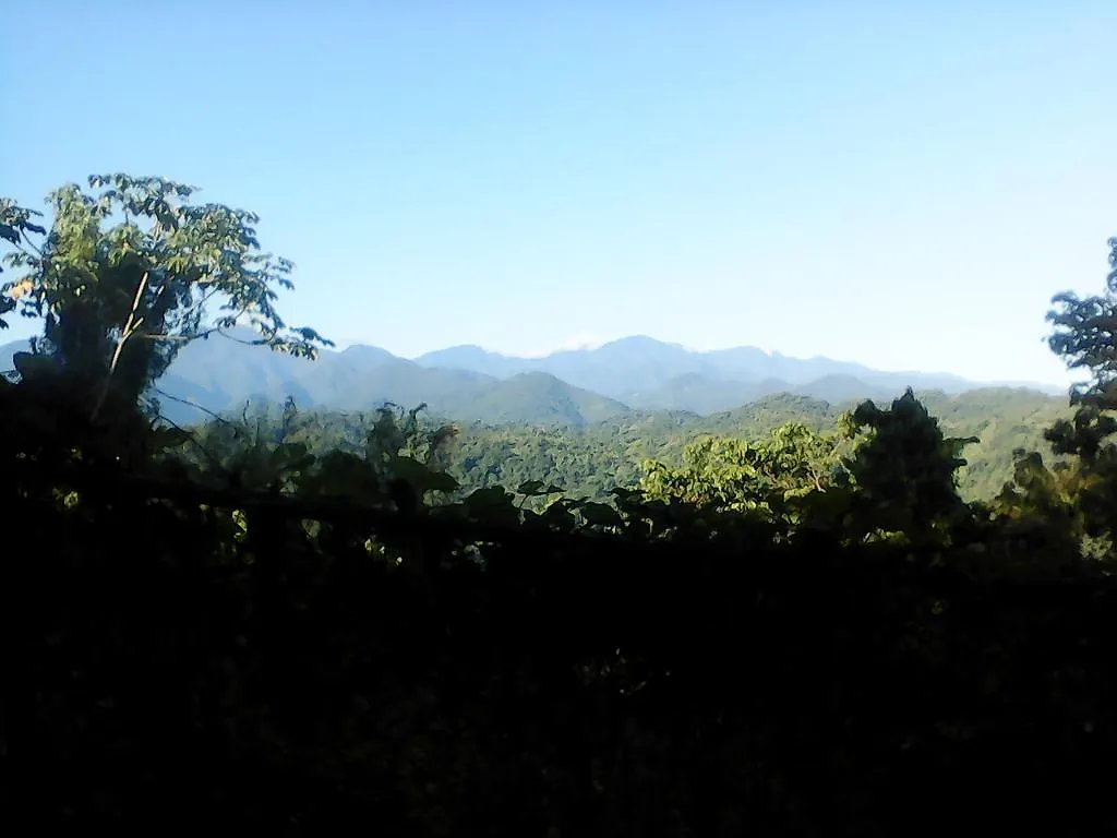 Shotover Gardens Estate Port Antonio Affittacamere
