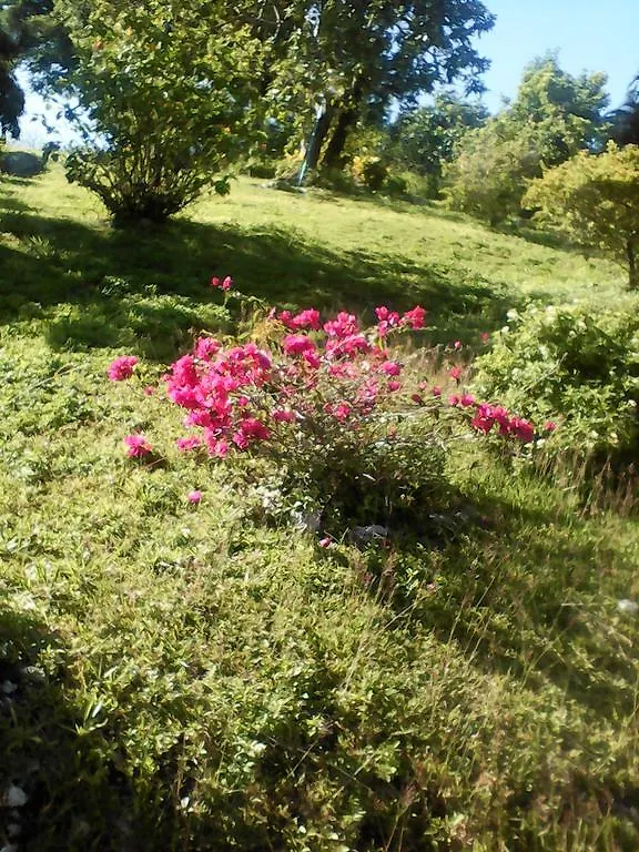 Shotover Gardens Estate Port Antonio Affittacamere
