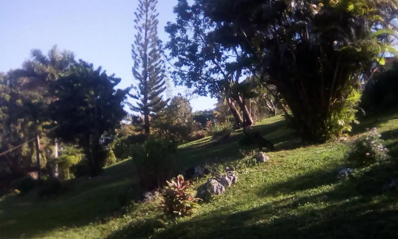 Affittacamere Shotover Gardens Estate Port Antonio
