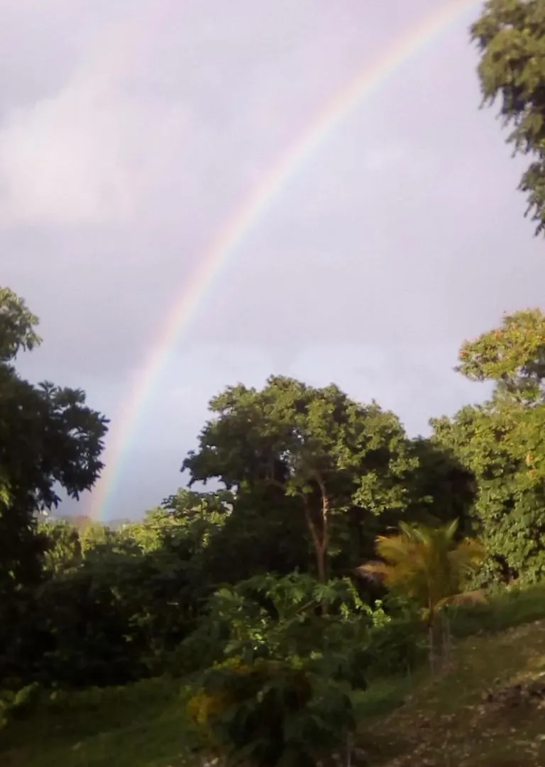 Shotover Gardens Estate Port Antonio
